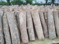 제주 올레 11코스 (하모해수욕장에서 무릉2리... 올레길 - 댄스매니아들 제주 올레 11코스 (하모해수욕장에서 무릉2리 제주자연생태문화체헙까지)