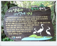 울산도보여행클럽 | ＜목포 유달산둘레길＞ 걷기여행 - Daum 카페 ＜목포 유달산둘레길＞ 걷기여행