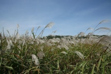 강력추천요)도로명주소:노곡로62-6 - 자유게시판 - 일요산장 대구 북구... 하중도 (대구에계시는분 한번가보세요 강력추천요)도로명주소:노곡로62-6