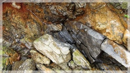 동문들과 함께해요...벽량산악회 - ♡ 일반게시판 - 벽량초등학교28회 동문들과 함께해요...벽량산악회