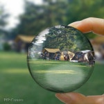 추석연휴기간할인텐트캠핑9월25일ㅡ28일 - ‥‥‥‥‥‥‥공지사항 - 오각놀이공원 추석연휴기간할인텐트캠핑9월25일ㅡ28일