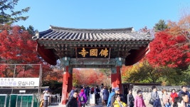 경주 단풍여행 : 불국사, 보문관광단지, 동궁과월지 - • 여러가지 - 일상탈출여행카페 : 국내여행 해외여행 경주 단풍여행 : 불국사, 보문관광단지... 