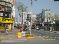 금산군 보기 > 자유게시판 > 열린게시판 > 소통참여 > 대표 대표