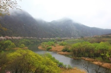 2017년4월8일(토요일) 정기도보:무주 금강 벼룻길~금강변 벚꽃길 - Daum 카페 2017년4월8일(토요일) 정기도보:무주 금강 벼룻길~금강변 벚꽃길