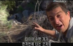 베어그릴스의 스컹크 맛 표현 - 인스티즈(instiz) 이슈 카테고리 베어그릴스의 스컹크 맛 표현