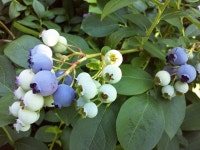 태양의 선물 - 카페 앨범 - 수안보곤충박물관&동물교감-놀이치유농장 태양의 선물