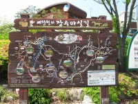 금강발원지(2019,5,23) - 카페지기산행,트레킹 - 무돌길과 금당산 금강발원지(2019,5,23)