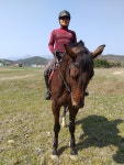 2019년3월20일 드론비행장내 3승마장 - 일반인 승마 교육 - 울산삼동승마장 2019년3월20일 드론비행장내 3승마장