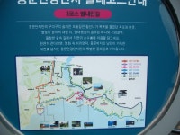 제주 올레 8코스 2월 중순 역코스 탐방 - 춤쟁이 제주 올레길 - 댄스매니아들 제주 올레 8코스 2월 중순 역코스 탐방