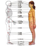심천사혈요법 - 정보스크렙 - 한국강해설교연구원 한국강해설교연구원