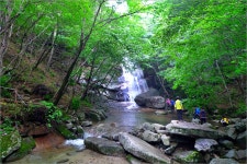 여름 계곡 - 기본 자료실 - nadu7 여름 계곡