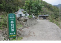 10월 산행지(한국판 차마고도 강원 양양 구룡령 옛길... 정기산행 공지/신청 - 용인 산악회 10월 산행지(한국판 차마고도 강원 양양 구룡령 옛길)