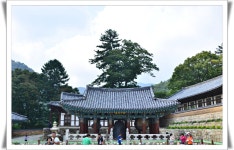 가야산 - 산행 사진 - 대부중고 23,7 가야산