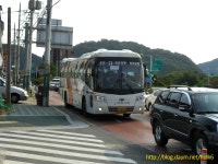 가평에서 찍은 Bus들 - 버스 갤러리