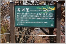 청계산 옥녀봉산행 > 테마산행