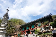 쌍계사를 찾아서(자작)