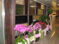 논현동 침맥한의원 - 카페 앨범 - 침맥한의원 032-858-7533-침과 맥을 꿰뚫는~(한방신경정신과) 논현동 침맥한의원