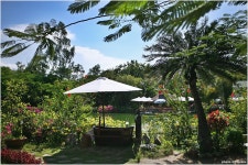 [베트남여행/나짱] 탑바온천, 열대휴양지 냐짱에서 즐기는 이색체험 | 네이트 판