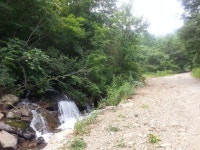 화천 비수구미 마을 트레킹(해산령터널-비수구미계곡 임도-비수구미 왕복 12km,5시간 소요) 비수구미 민박- 비빔밥 - 뽐뿌:등산포럼 화천... 