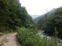 화천 비수구미 마을 트레킹(해산령터널-비수구미계곡 임도-비수구미 왕복 12km,5시간 소요) 비수구미 민박- 비빔밥 - 뽐뿌:등산포럼 화천... 