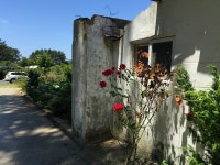 삽시도 전국에 알려진 밤섬펜션 꽃게탕