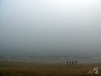 2009.05.12 대천 다녀오기 - 디시라이더스 갤러리