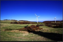 [사진] 이른 가을에 방문한 대관령 삼양목장 - DVDPrime