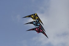 보성 녹차밭에서 - 카페 다운 자료 - 솔라그라시아 보성 녹차밭에서