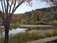 숲포름 25회 ㅡ여주황학산 수목원 - 후기 - 숲해설가과정 17기 카페(2011년) 숲포름 25회 ㅡ여주황학산 수목원