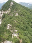 용인산악회 9월 산행지안내 황정산(960m) 충북 단양 - ‥― 정기산행 공지/신청 - 용인 산악회 용인산악회 9월 산행지안내 황정산(960m) 충북... 