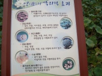 회산 백련지 2 - 춤쟁이 국내 나들이 - 댄스매니아들 회산 백련지 2