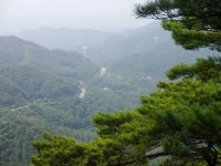 Solar Camp | 중미산 국립 자연 휴양림 야영 & 산행 - Daum 카페 중미산 국립 자연 휴양림 야영 & 산행