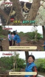 ＊여성시대＊ 차분한 20대들의 알흠다운 공간 | [동물농장] 10m 나무 위에 사는 고양이와 할머니들.jpg - Daum 카페 [동물농장] 10m 나무... 