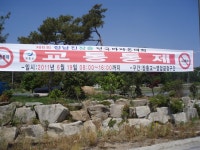 제6회 정남진 장흥 전국 마라톤 대회(구간;장흥교~영암금정구간) - 내고향 앨범 - 영암금정초등학교47회동창회 제6회 정남진 장흥 전국 마라톤... 