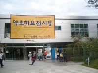 2010 제천 국제 한방 바이오 엑스포/ 약초허브장/ 춤쟁이 - 춤쟁이... 댄스매니아들 2010 제천 국제 한방 바이오 엑스포/ 약초허브장/ 춤쟁이