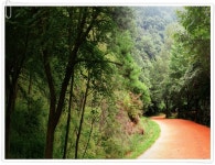 대전 계족산 황톳길 맨발로 걸어요 14.5km - 대전 소식 - 미니어처 헤븐 Miniature Heaven 대전 계족산 황톳길 맨발로 걸어요 14.5km