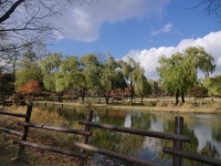 용산가족공원의 가을2 - 역사사진 - 한민족역사정책연구소 용산가족공원의 가을2