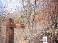 대구팔공산 하산길 - ○--------------풍경방 - 칠성 초등학교 32회 동기회 대구팔공산 하산길