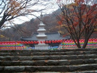 정읍 내장산 등산 / 내장사, 신선봉, 연자봉, 케이블카, 시인마을까지 / 춤쟁이 - 춤쟁이 사찰탐방 - 댄스매니아들 정읍 내장산 등산 / 내장사... 