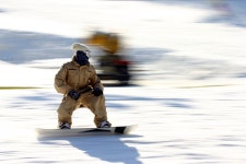 헝그리사진첩 - 지난주말 양지~