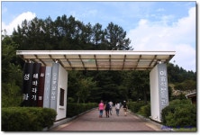 어린왕자의 들꽃사랑마을 | 봉평 메밀꽃 축제장에서... - Daum 카페 봉평 메밀꽃 축제장에서...