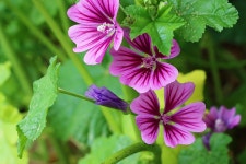 아침에 눈을 뜨면 생각나는 사람