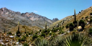 전국공무원노동조합 경기지역본부 안산시지부 백 년 초 