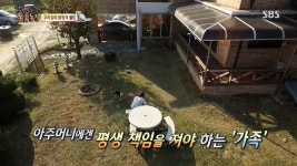 [동물농장] 우리집 불청객 골드 - 인스티즈(instiz) 이슈 카테고리 [동물농장] 우리집 불청객 골드
