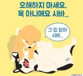 소주담(談) : 소소한 주민들의 이야기 | LG 생활건강 새로 나온 디자인.jpg - Daum 카페 LG 생활건강 새로 나온 디자인.jpg