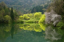 세량지와 학원농장 - 사진 한장 - 양림의료봉사단 세량지와 학원농장