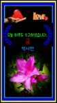 오늘 하루도 수고하셨습니다(진짜 예쁜 봄 꽃) - 🔶️공유 글🔰나눔 - 💜산야와 한울타리💜 오늘 하루도 수고하셨습니다(진짜 예쁜 봄 꽃)
