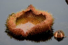 출사 -1 - 카페 다운 자료 - 솔라그라시아 출사 -1