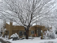 고기나무의 첫 눈 - 고기나무 식당 - 유왕별서펜션 고기나무의 첫 눈