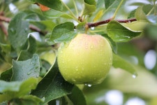 여름 .. - 카페 다운 자료 - 솔라그라시아 여름 ..